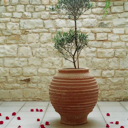 Corinna Mare Chania (Crete)