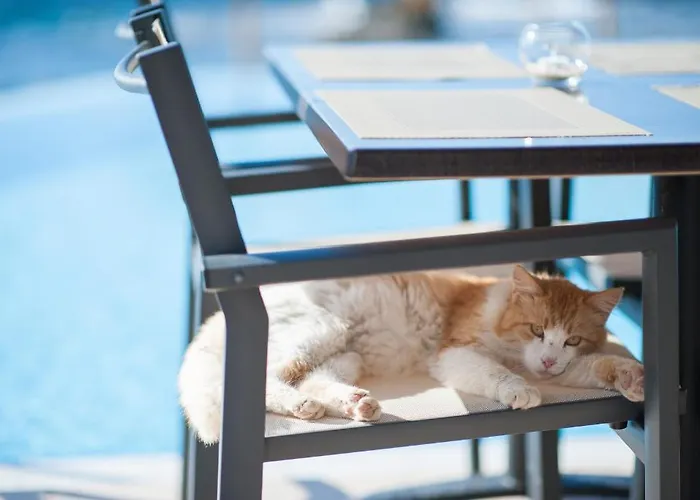 Corinna Mare Apartmanhotel