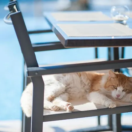 Corinna Mare Aparthotel